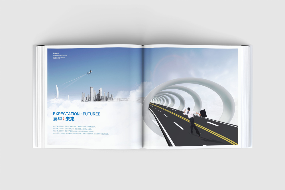 莎车县画册设计